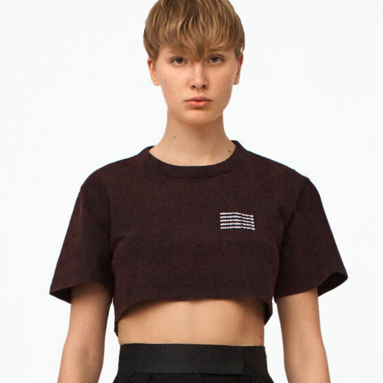Alexander Wang 王大仁 Exclusive Acid Wash logo短T恤 熱賣現(xiàn)價(jià)5（約860元）
